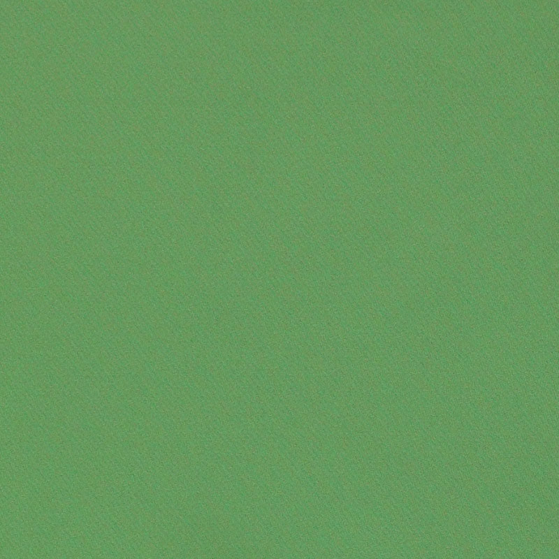 Blake Polished Cotton fabric in grass color - pattern number 69593 - by Schumacher in the Perfect Basics: Cotton collection
