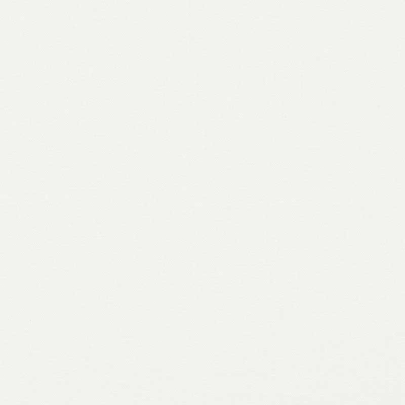 Piet Performance Linen fabric in blanc color - pattern number 69900 - by Schumacher in the Perfect Basics: Linen collection