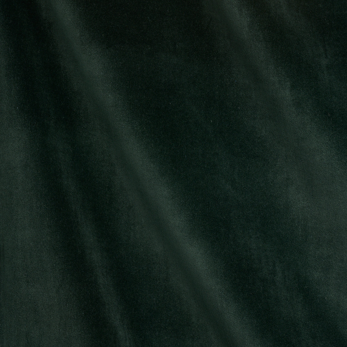 Rocky Performance Velvet fabric in pine color - pattern number 70489 - by Schumacher in the Perfect Basics: Velvet collection