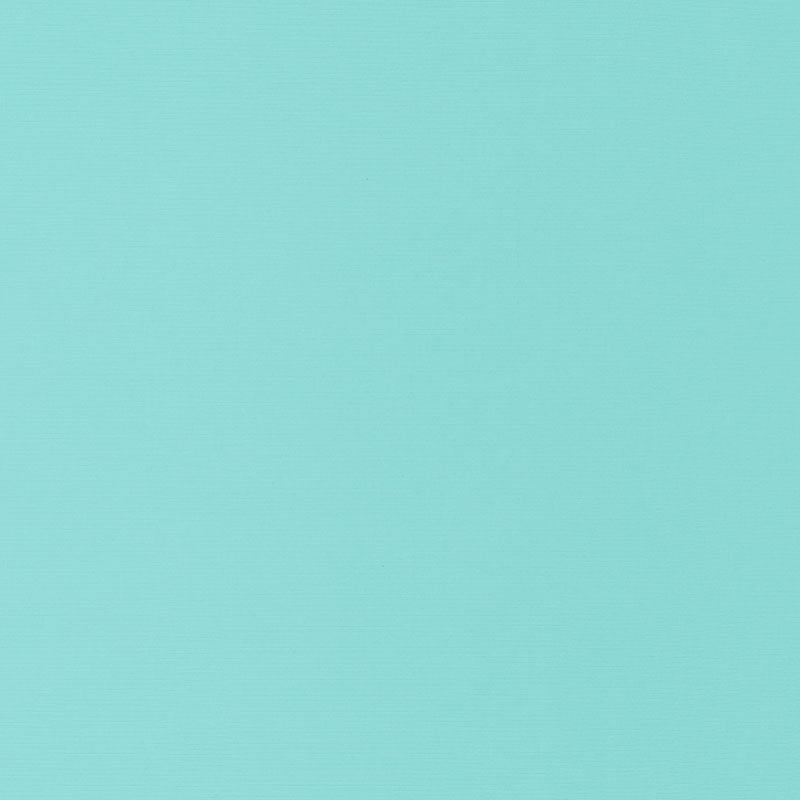 Santa Margherita fabric in aqua color - pattern number 70954 - by Schumacher in the Perfect Basics: Indoor/Outdoor collection