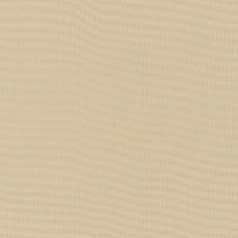 Alassio Indoor Outdoor fabric in sand color - pattern number 70981 - by Schumacher in the Perfect Basics: Indoor/Outdoor collection