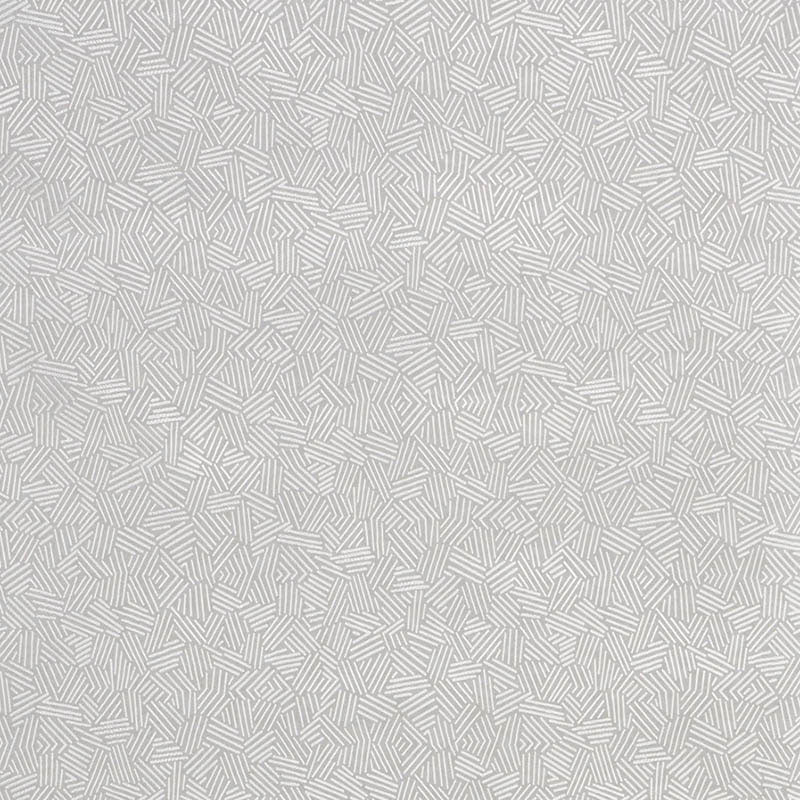 Baker fabric in zinc color - pattern number 71642 - by Schumacher in the New Opulence collection