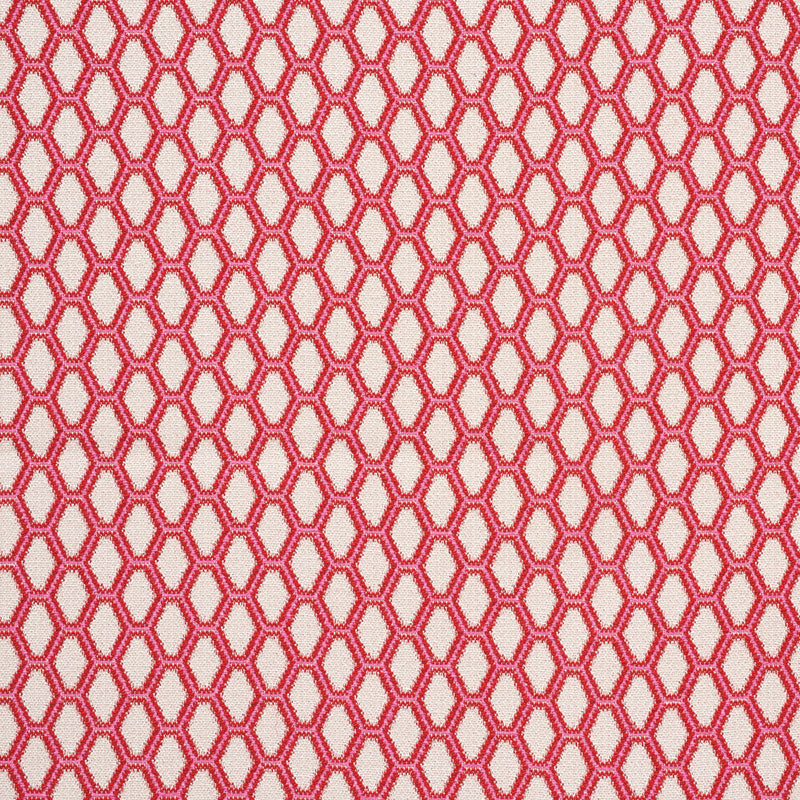 Beehive fabric in valentine color - pattern number 73421 - by Schumacher in the Happy Together collection