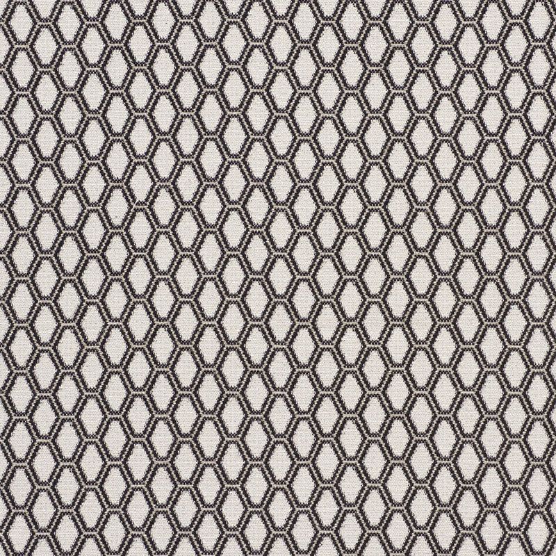 Beehive fabric in graphite color - pattern number 73422 - by Schumacher in the Happy Together collection