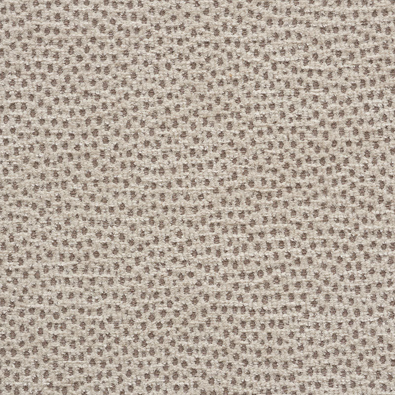 Stingray fabric in zinc color - pattern number 75202 - by Schumacher in the Relaxed Glamour collection