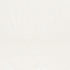 Palmetto Beach Embroidery fabric in ivory color - pattern number 75302 - by Schumacher in the Nautilus collection