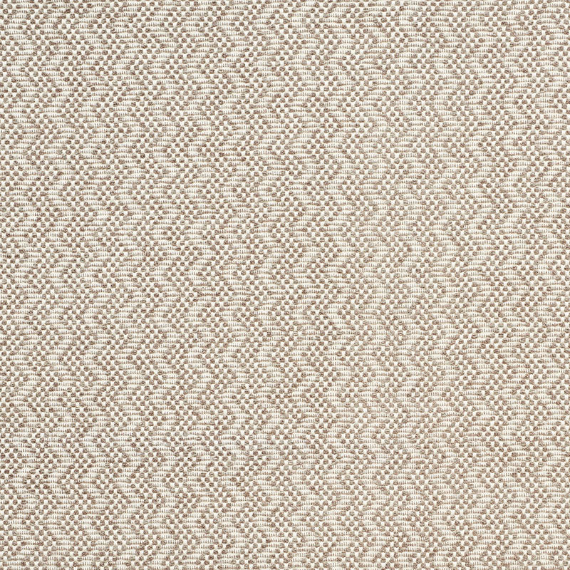 Audley fabric in taupe color - pattern number 75490 - by Schumacher in the New Traditional collection
