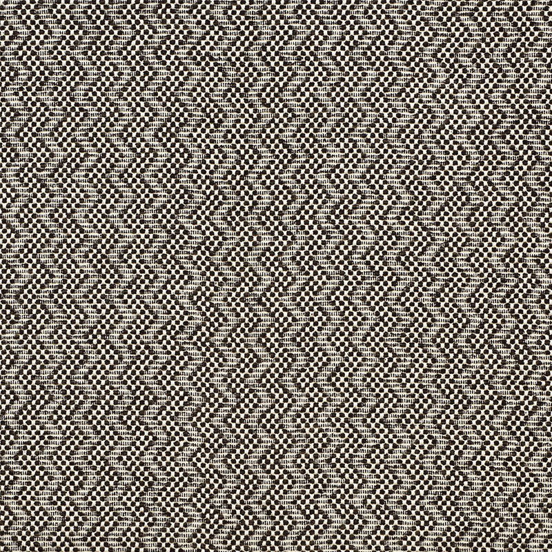 Audley fabric in carbon color - pattern number 75492 - by Schumacher in the New Traditional collection