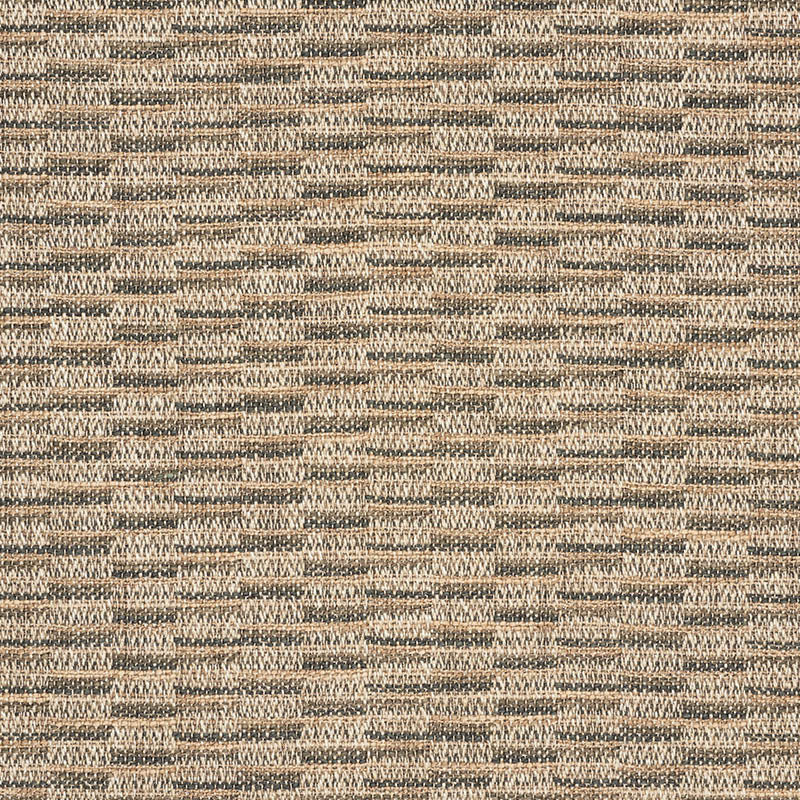 Olmeda Performance fabric in charcoal color - pattern number 75841 - by Schumacher in the World View collection