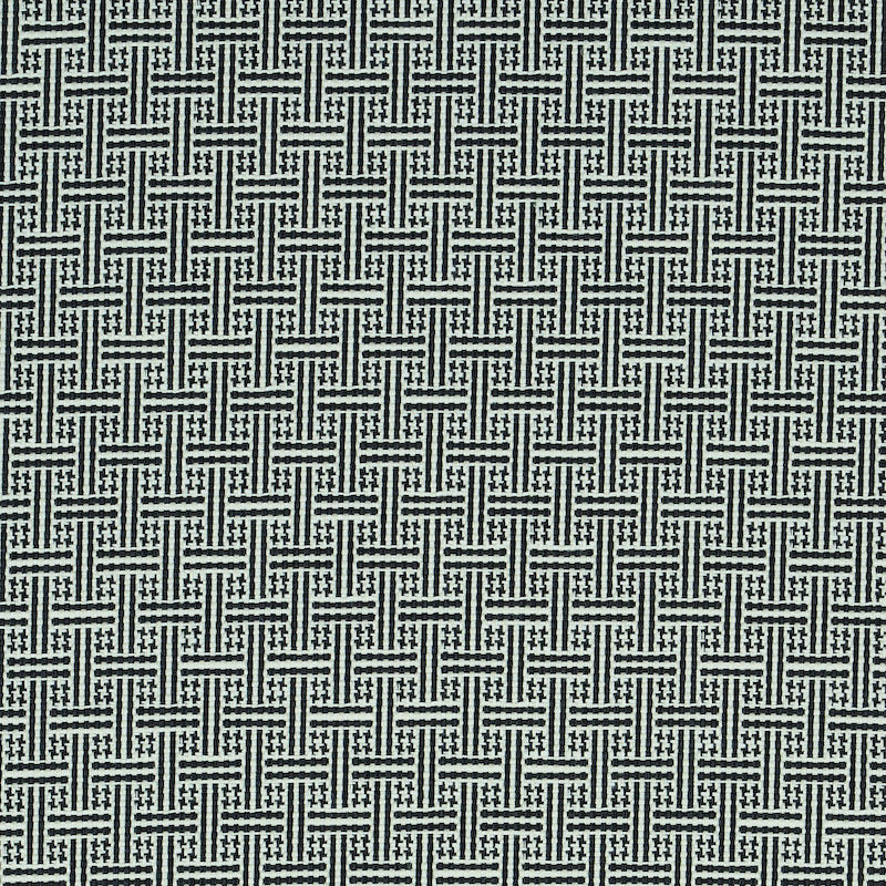 Brickell Indoor Outdoor fabric in black color - pattern number 75935 - by Schumacher in the Indoor-Outdoor Prints &amp; Wovens collection