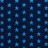 Star Epingle fabric in blue color - pattern number 77421 - by Schumacher in the Cut & Patterned Velvets collection