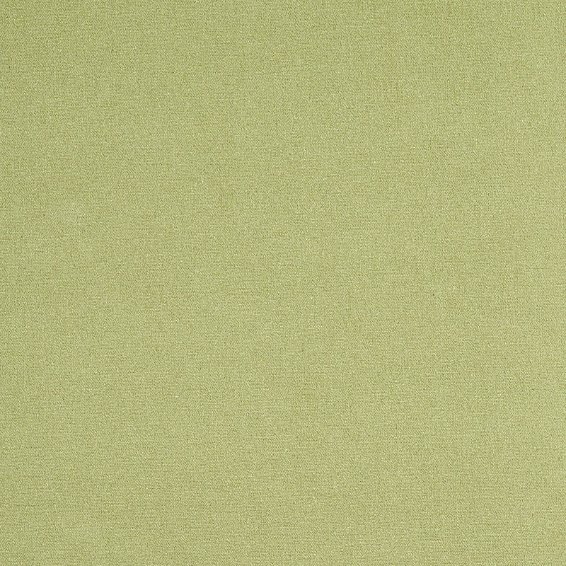 Albert Performance Cotton fabric in green color - pattern number 77810 - by Schumacher in the Perfect Basics: Cotton collection