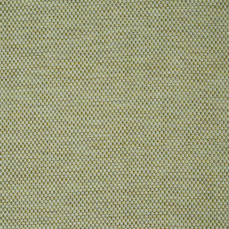 Momo Hand Woven Texture fabric in fern color - pattern number 78933 - by Schumacher in the A Rum Fellow collection