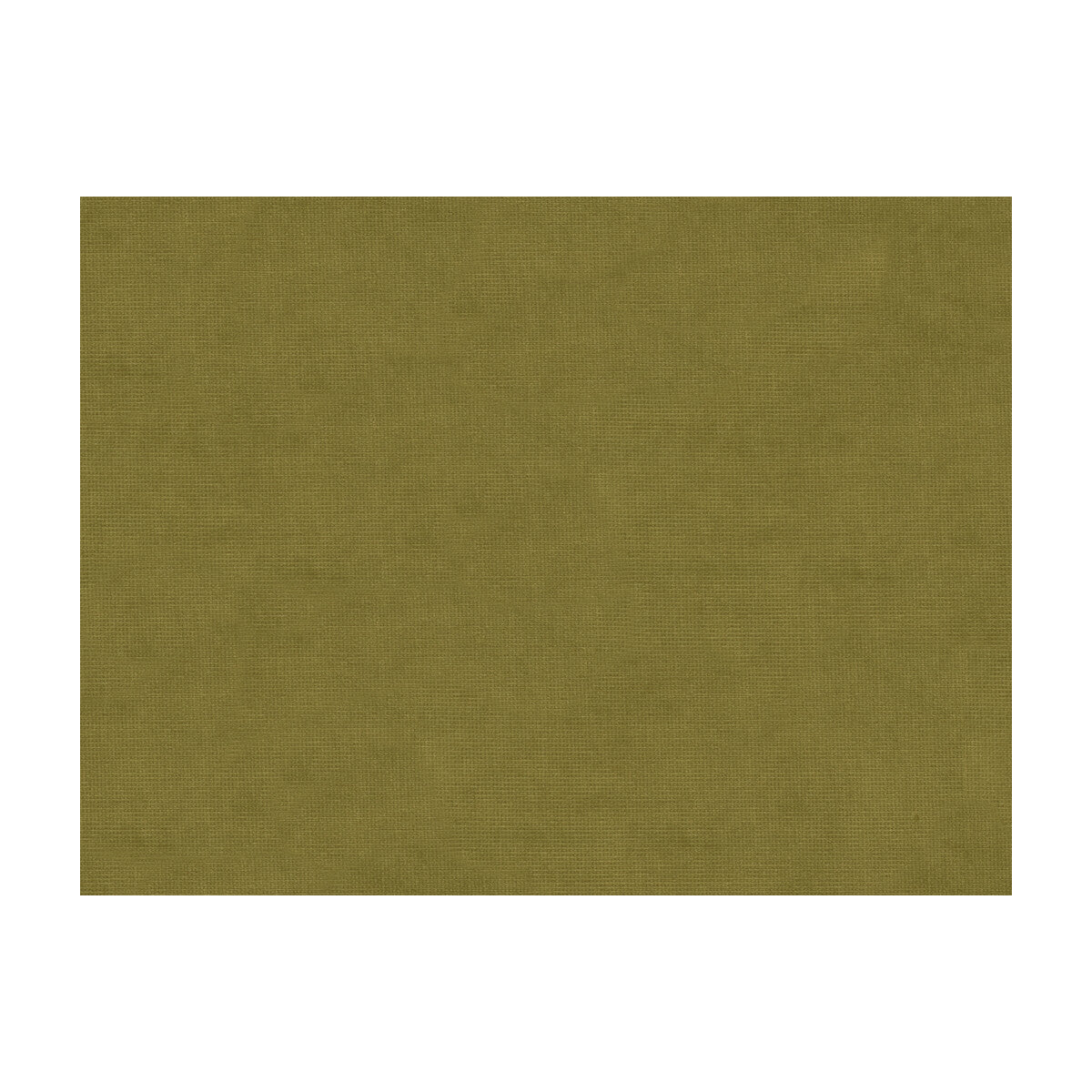 Charmant Velvet fabric in olive color - pattern 8013150.130.0 - by Brunschwig &amp; Fils