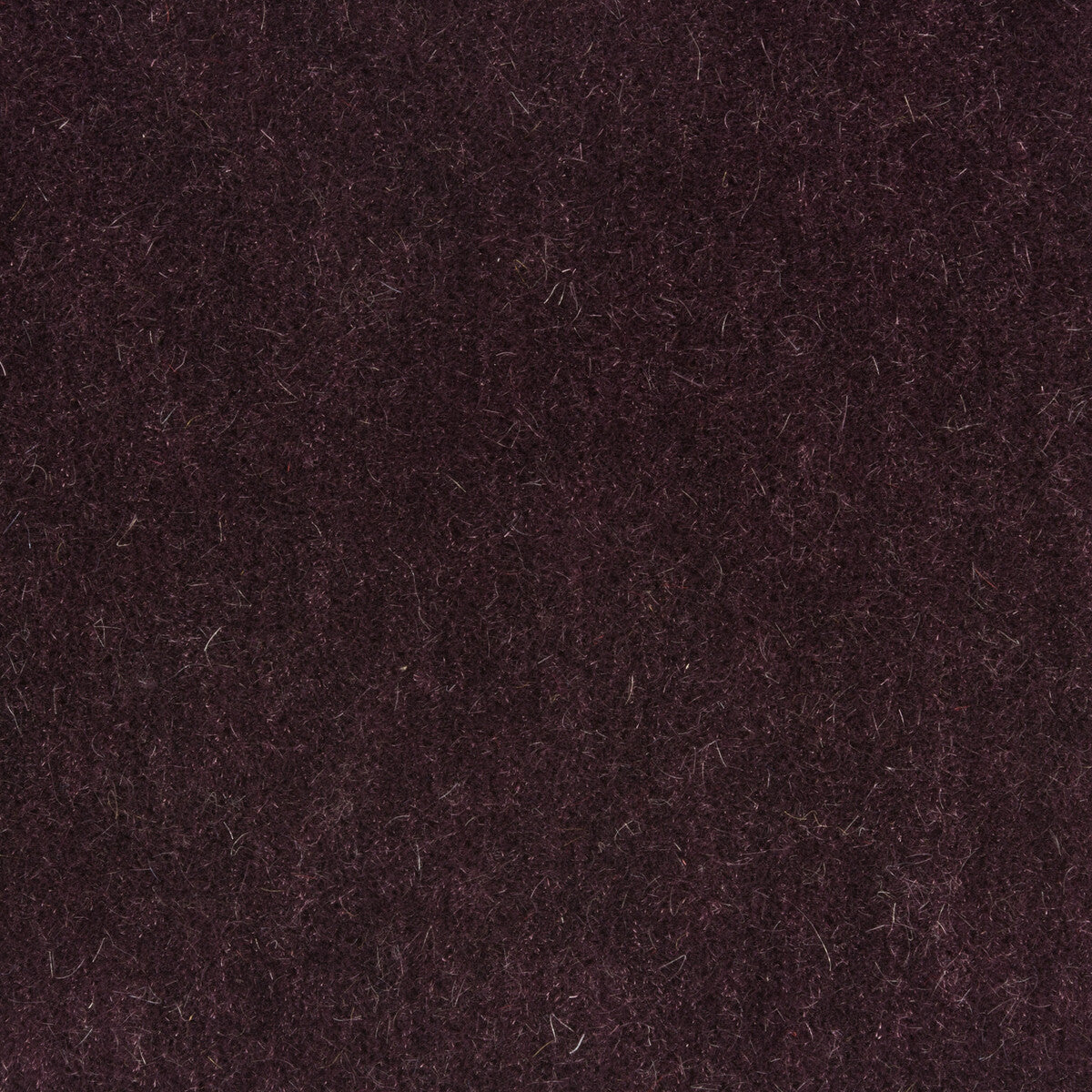 Bachelor Mohair fabric in concord color - pattern 8014101.10.0 - by Brunschwig &amp; Fils