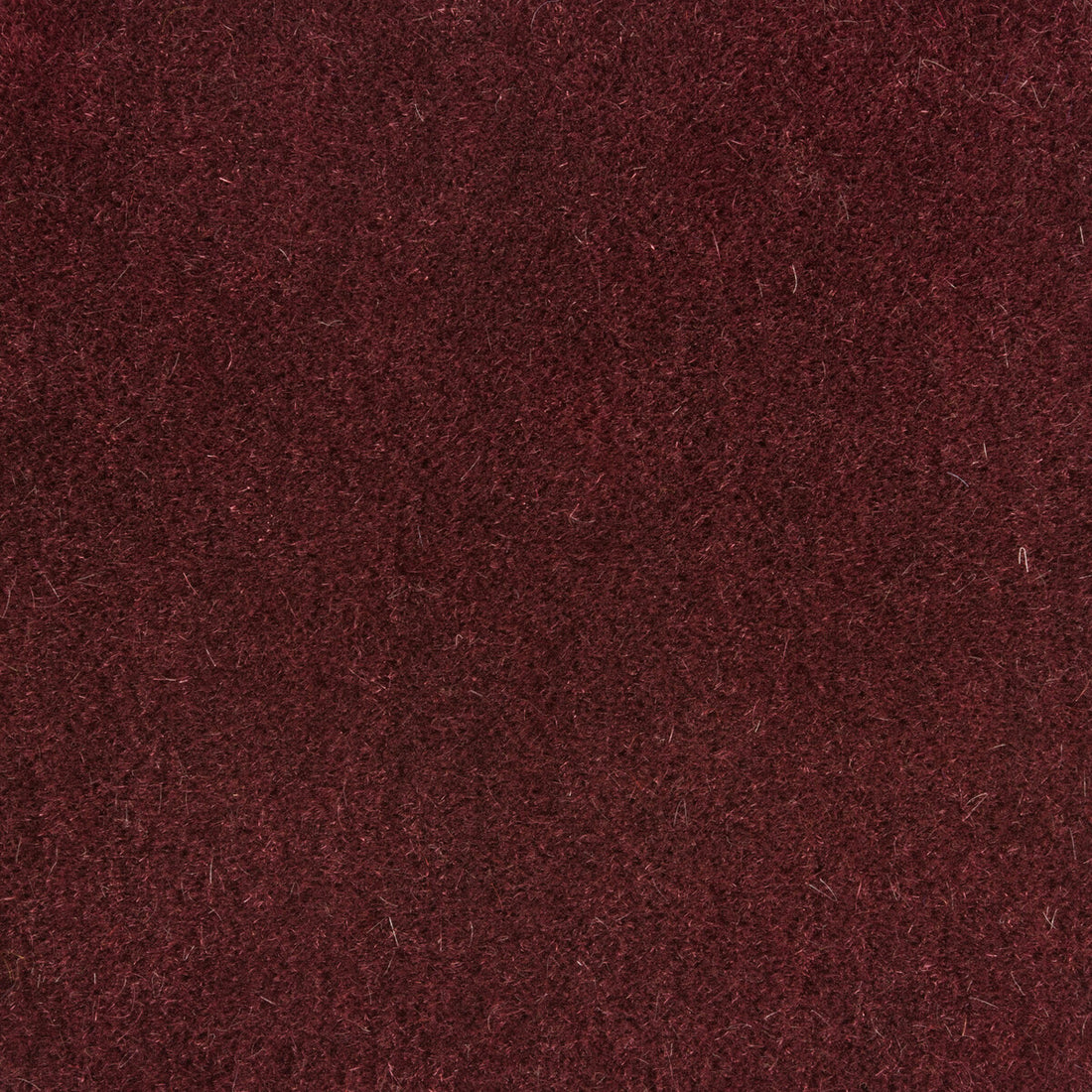 Bachelor Mohair fabric in damson color - pattern 8014101.1010.0 - by Brunschwig &amp; Fils