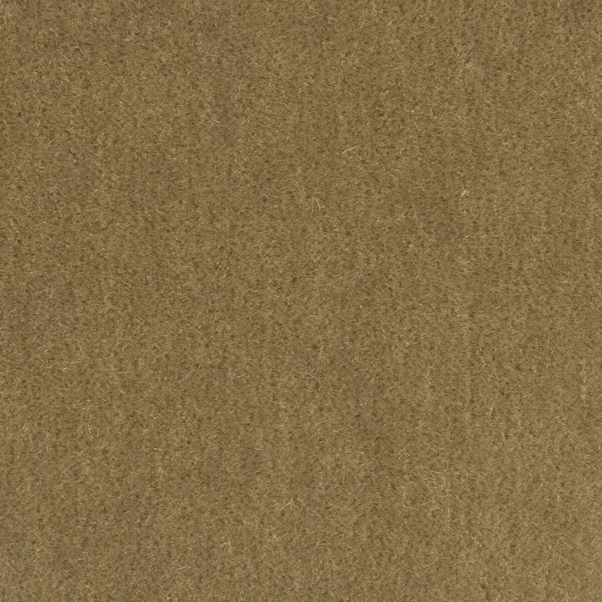 Bachelor Mohair fabric in birch color - pattern 8014101.106.0 - by Brunschwig &amp; Fils