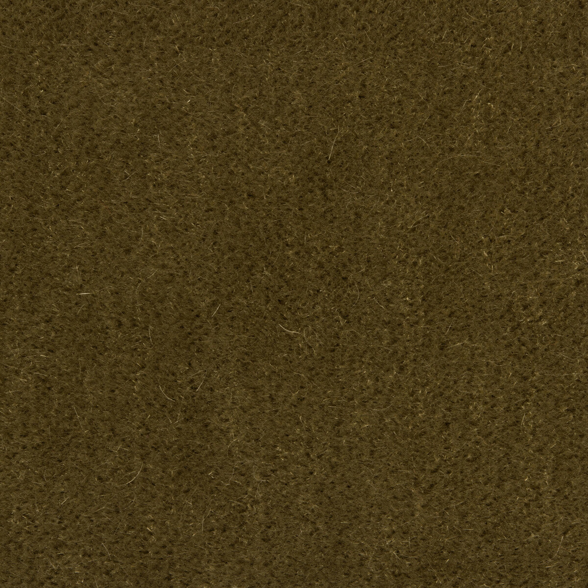 Bachelor Mohair fabric in khaki color - pattern 8014101.113.0 - by Brunschwig &amp; Fils
