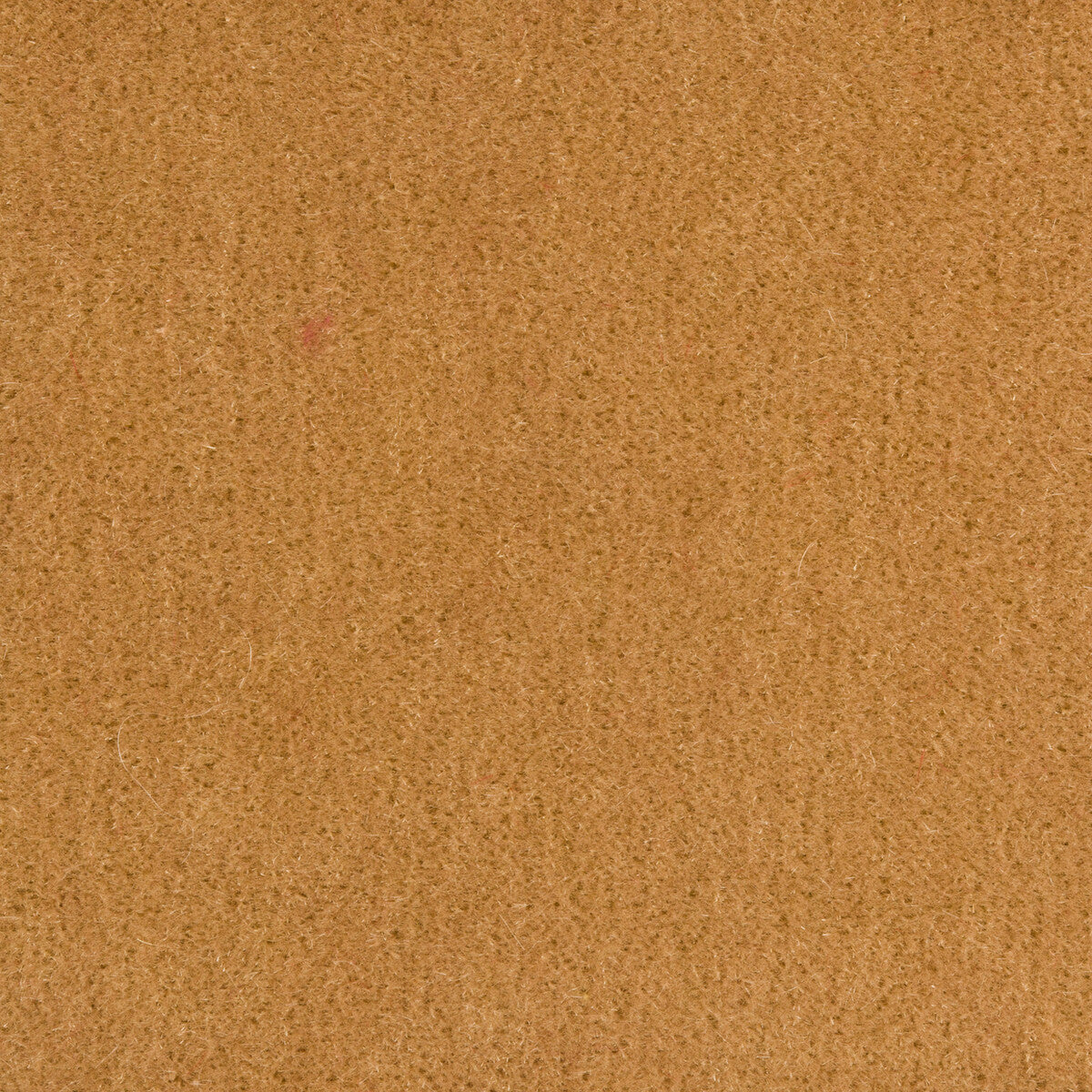 Bachelor Mohair fabric in wheat color - pattern 8014101.16.0 - by Brunschwig &amp; Fils