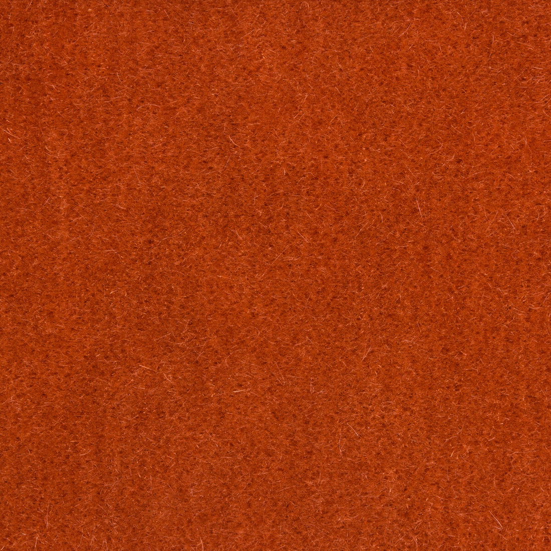 Bachelor Mohair fabric in persimmon color - pattern 8014101.24.0 - by Brunschwig &amp; Fils