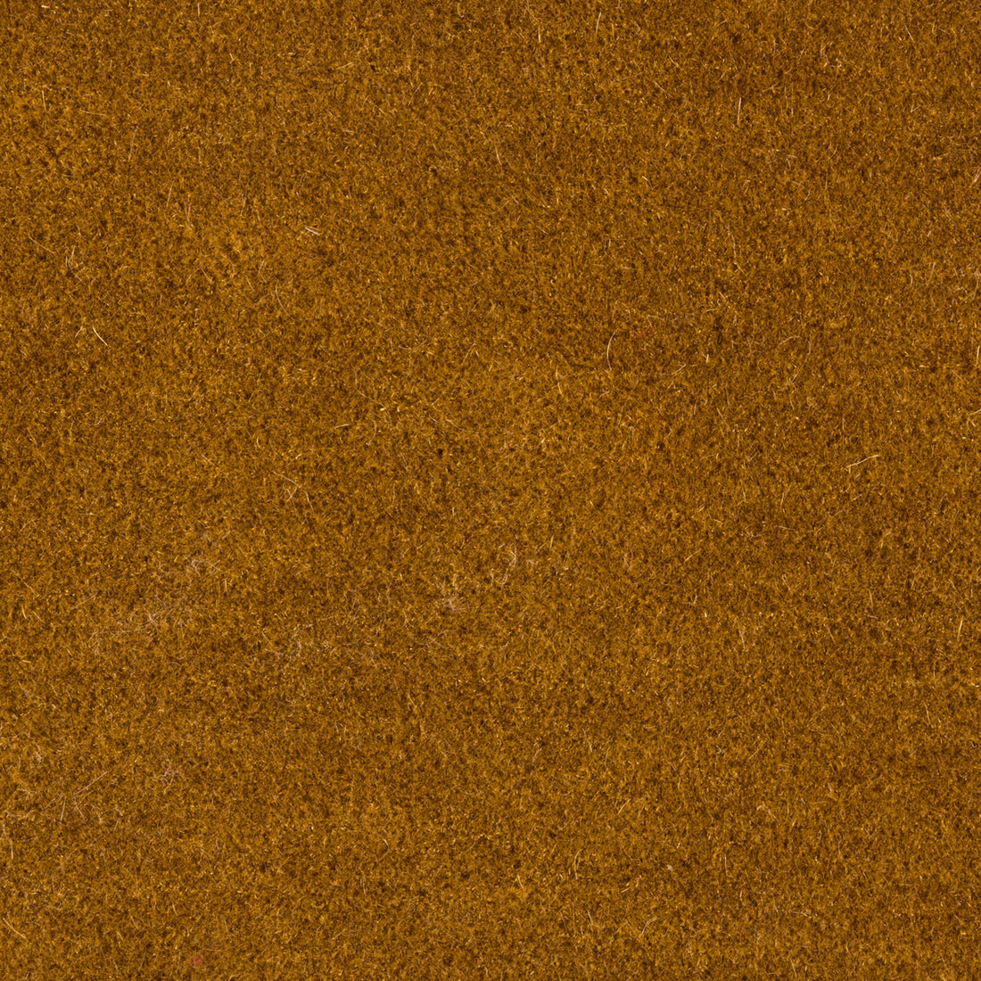 Bachelor Mohair fabric in ochre color - pattern 8014101.4.0 - by Brunschwig &amp; Fils