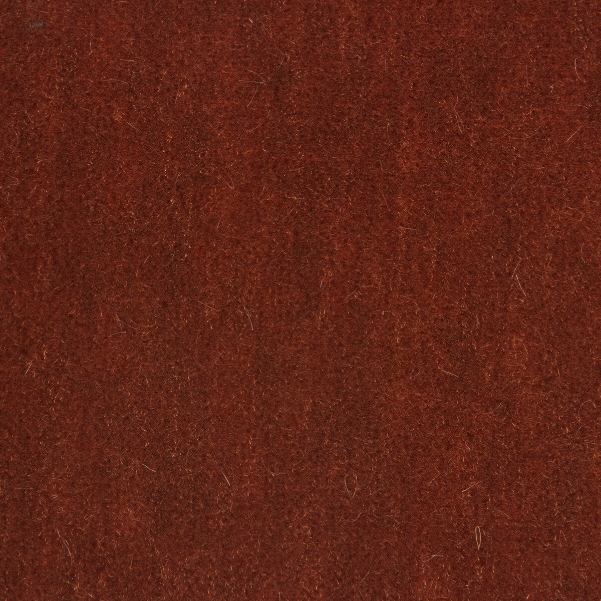 Bachelor Mohair fabric in paprika color - pattern 8014101.624.0 - by Brunschwig &amp; Fils