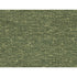 Vanoise Chenille fabric in avocado color - pattern 8016104.33.0 - by Brunschwig & Fils in the Chambery Textures collection