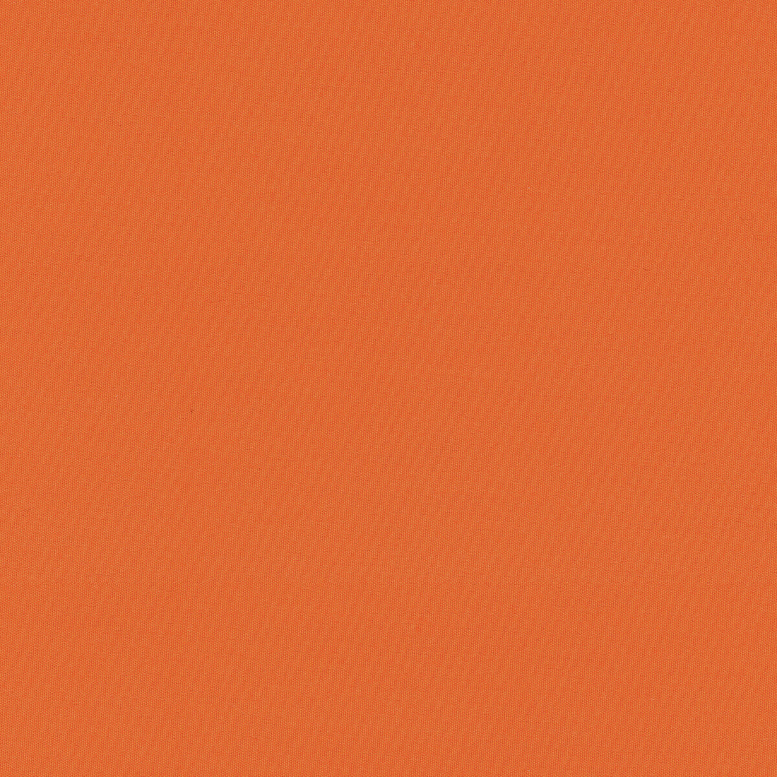 Adrien Cotton fabric in orange color - pattern 8017121.12.0 - by Brunschwig &amp; Fils