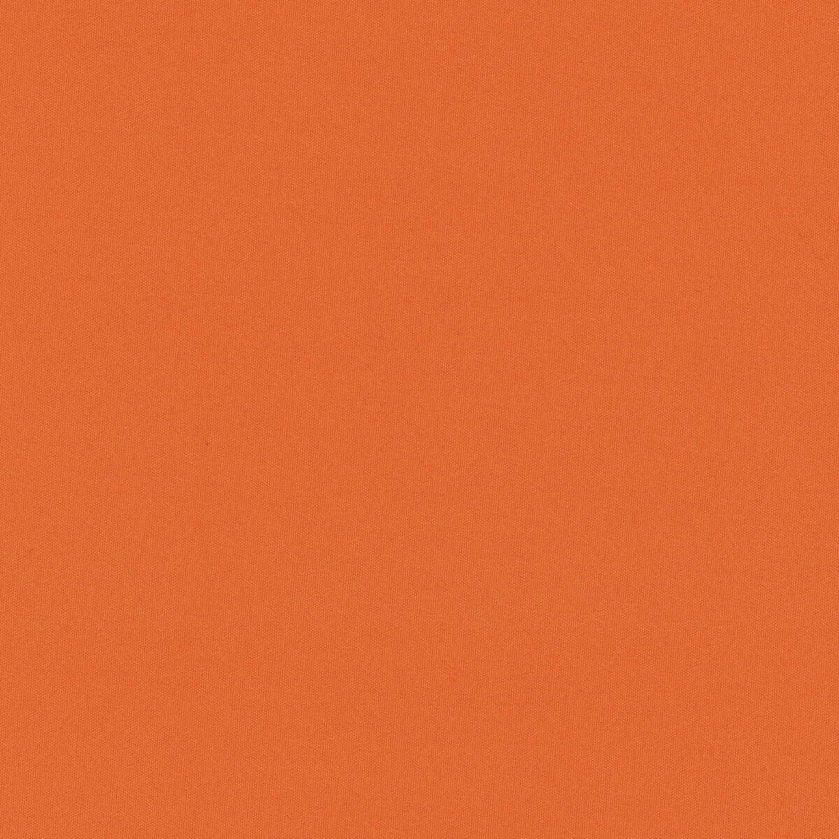 Adrien Cotton fabric in orange color - pattern 8017121.12.0 - by Brunschwig &amp; Fils