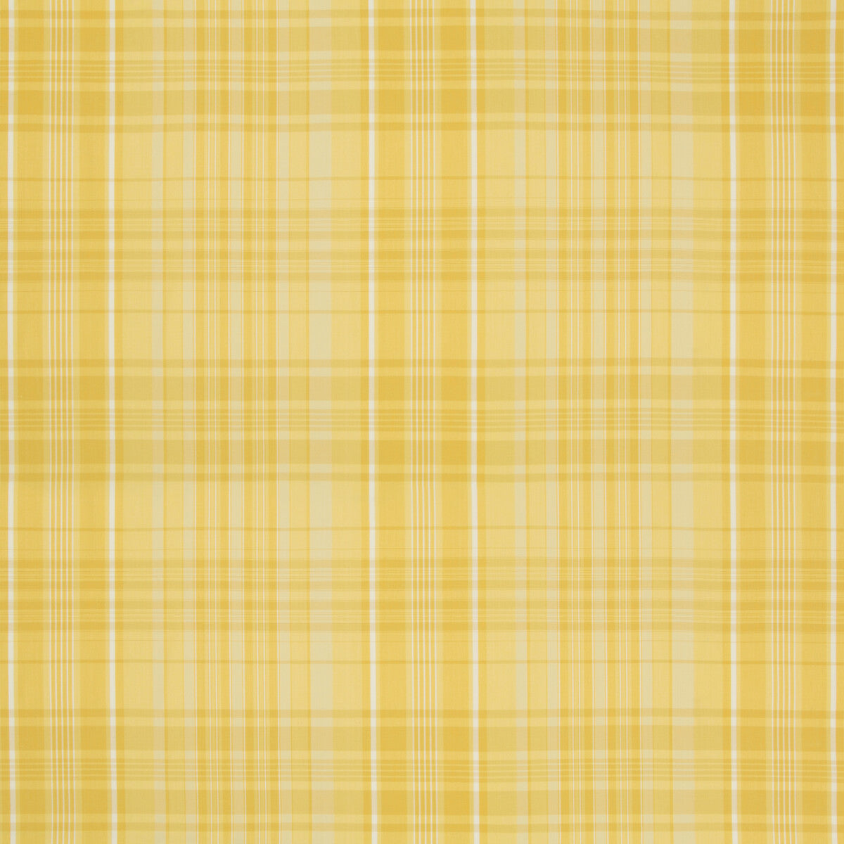 Guernsey Check fabric in yellow color - pattern 8019101.40.0 - by Brunschwig &amp; Fils in the Normant Checks And Stripes collection