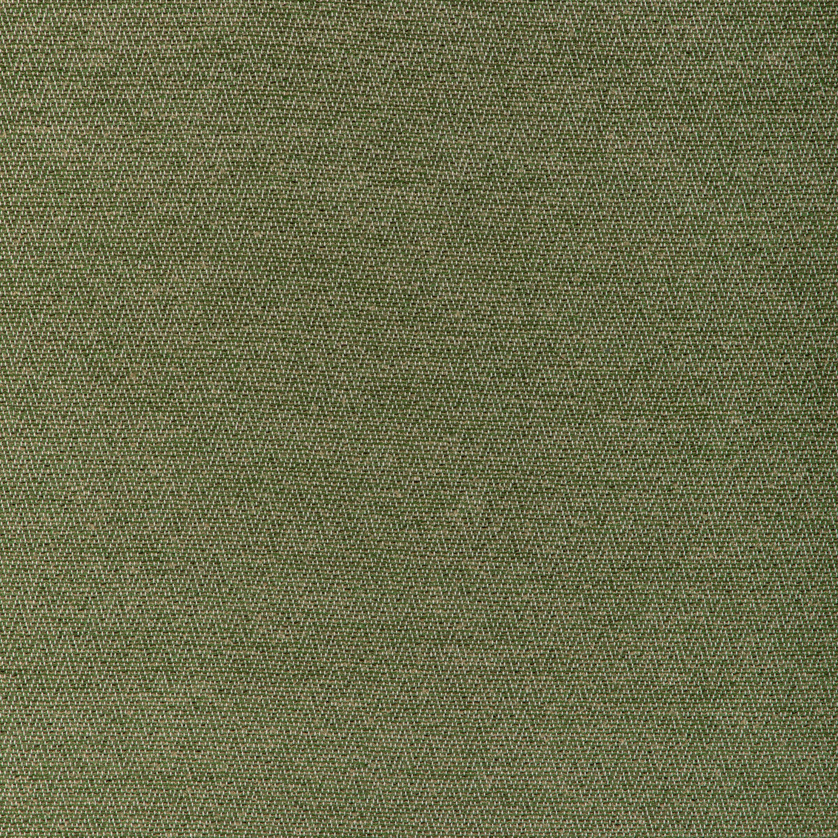 Beauvoir Texture fabric in leaf color - pattern 8023153.3.0 - by Brunschwig &amp; Fils in the Chambery Textures IV collection