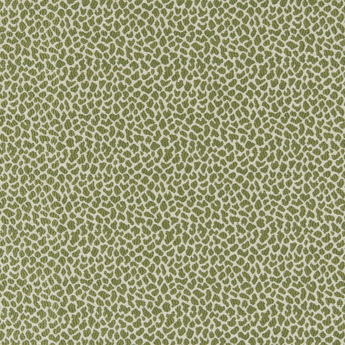 Lafayette Weave fabric in Leaf color - pattern number 8026105.3.0 - by Brunschwig &amp; Fils in the Cantal Weaves collection