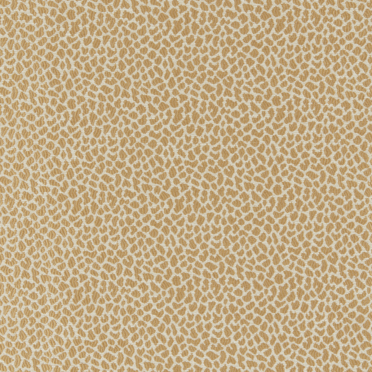 Lafayette Weave fabric in Gold color - pattern number 8026105.4.0 - by Brunschwig &amp; Fils in the Cantal Weaves collection