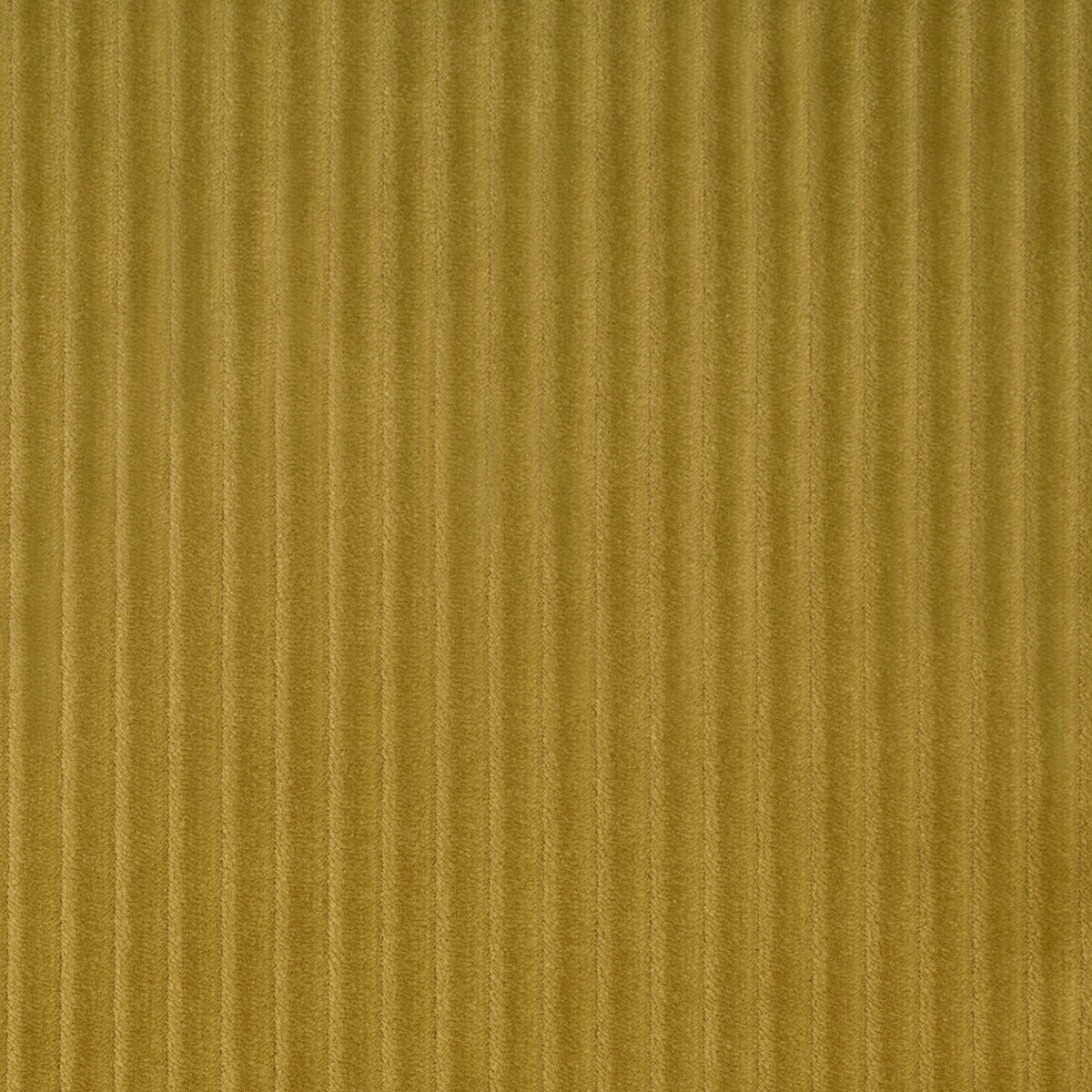Wyatt Corduroy fabric in chartreuse color - pattern number 80458 - by Schumacher in the Atelier Paris collection