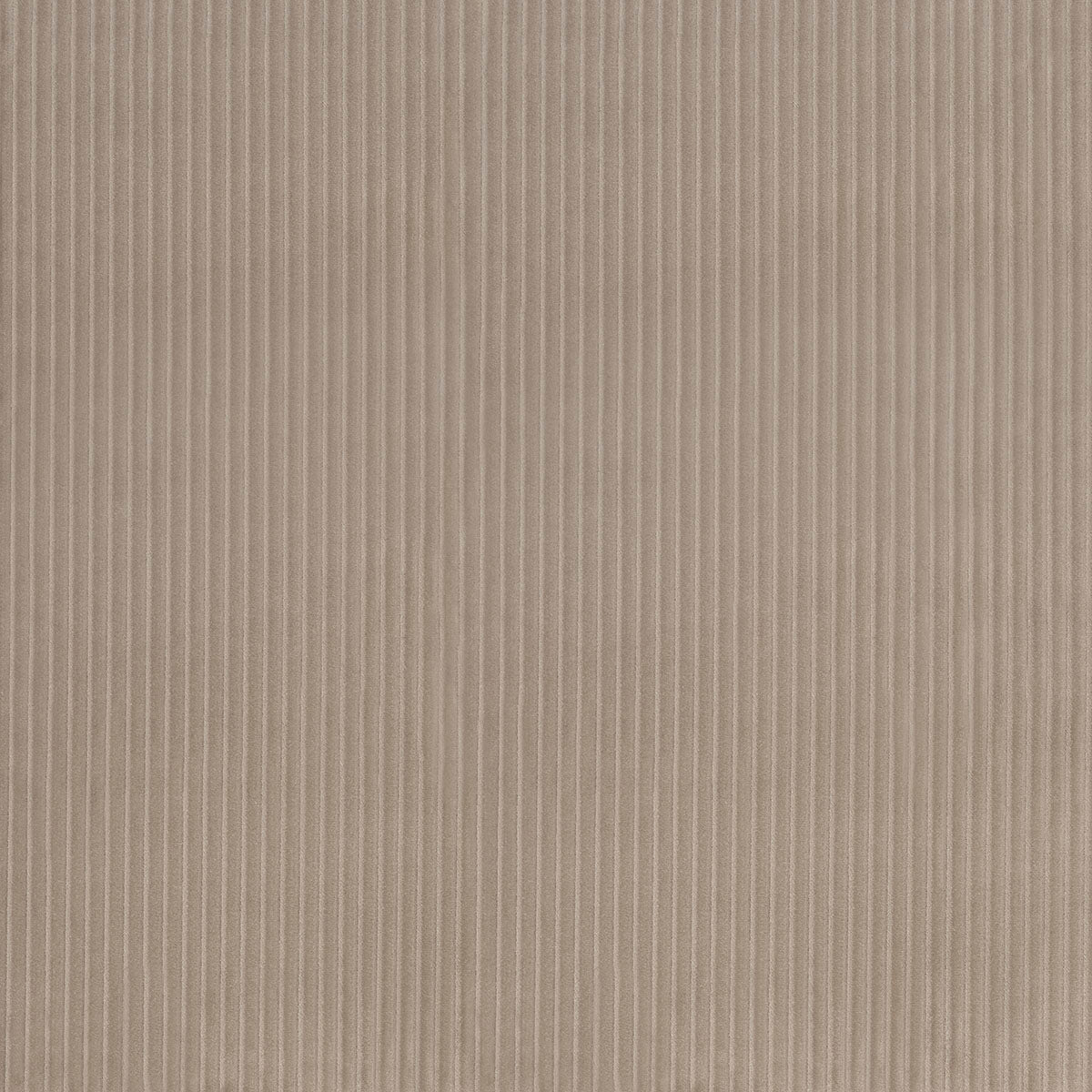 Wyatt Corduroy fabric in sandstone color - pattern number 80459 - by Schumacher in the Atelier Paris collection