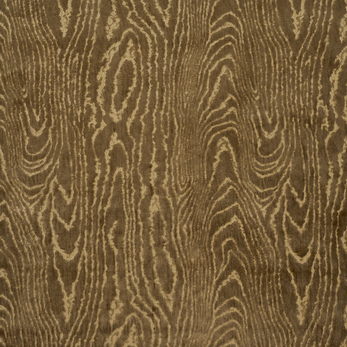 Marisa Moire Velvet fabric in camel color - pattern number 82750 - by Schumacher in the Regine collection