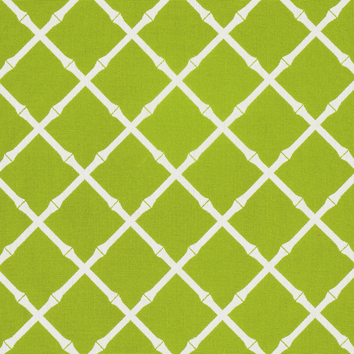 Bamboo Trellis Indoor Outdoor fabric in leaf color - pattern number 82760 - by Schumacher in the Swing Time Indoor/Outdoor collection
