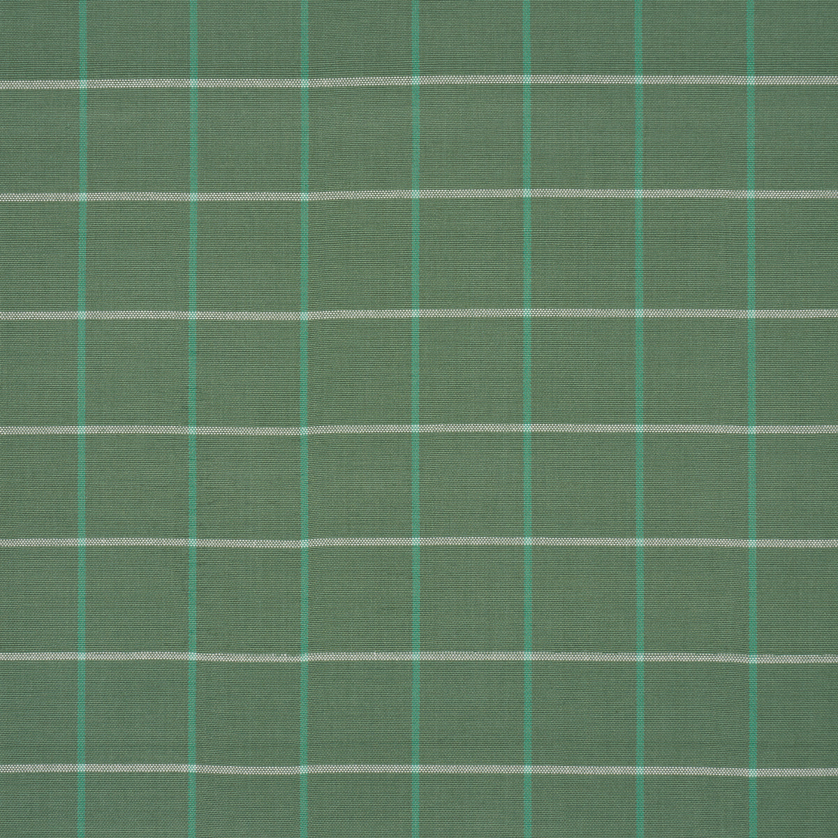Frannie Windowpane fabric in green color - pattern number 83783 - by Schumacher in the Mark D. Sikes collection