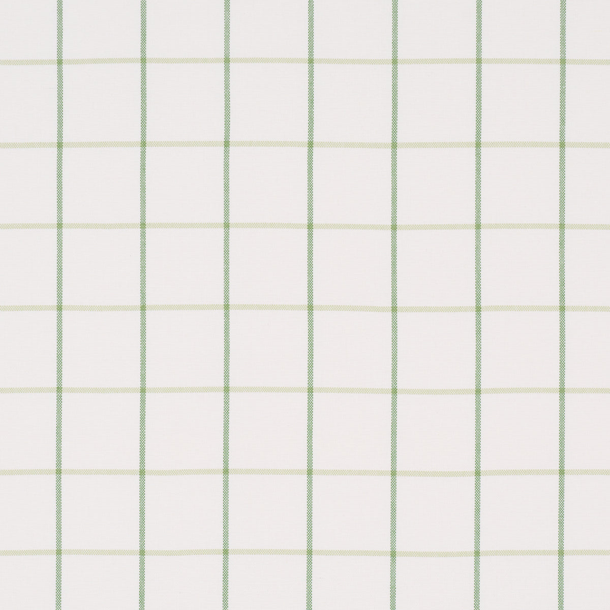 Frannie Windowpane fabric in leaf green color - pattern number 83786 - by Schumacher in the Mark D. Sikes collection