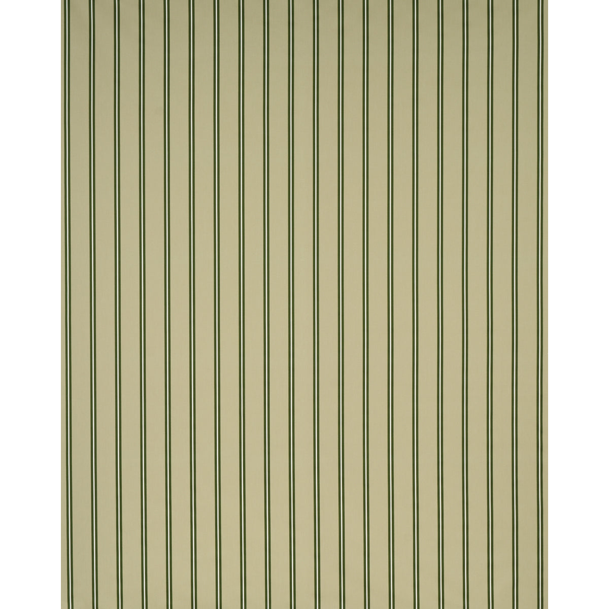 Briony Stripe fabric in leaf color - pattern number 85622 - by Schumacher in the New Traditional collection