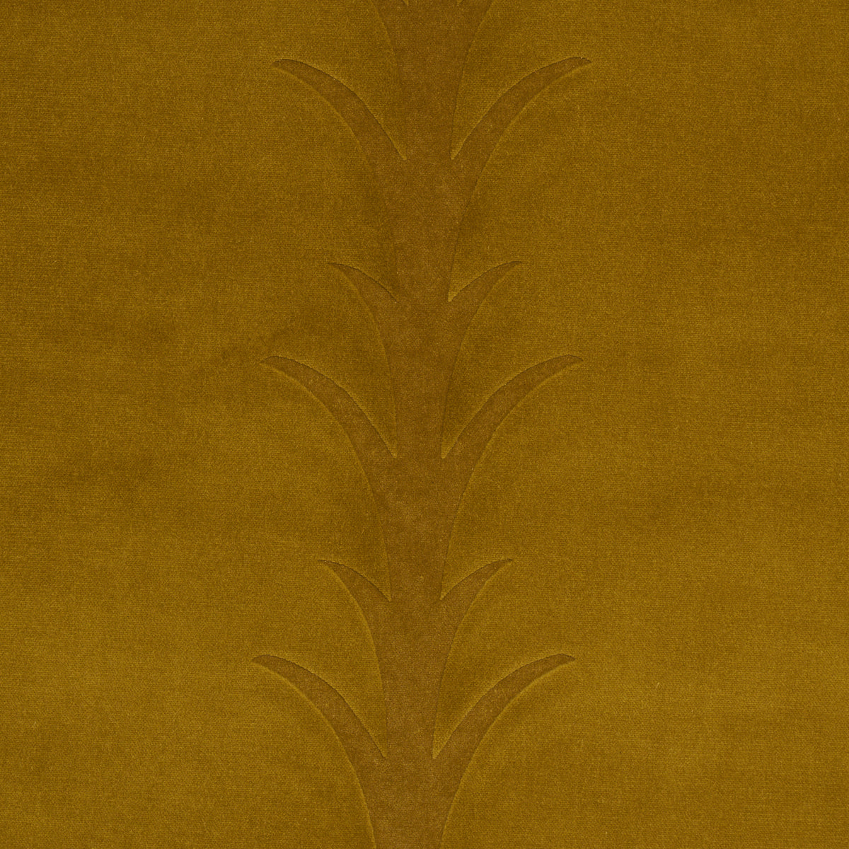 Acanthus Stripe Velvet fabric in olive color - pattern number 86451 - by Schumacher in the Atelier Paris collection