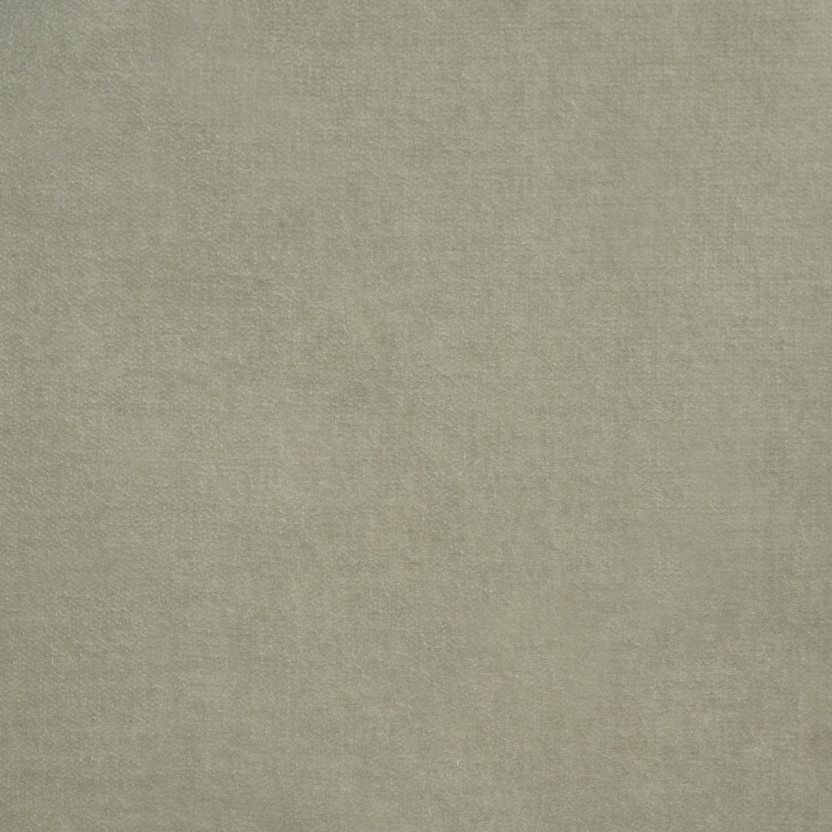 Rocky Performance Velvet fabric in fern color - pattern number 86471 - by Schumacher in the Atelier Paris collection