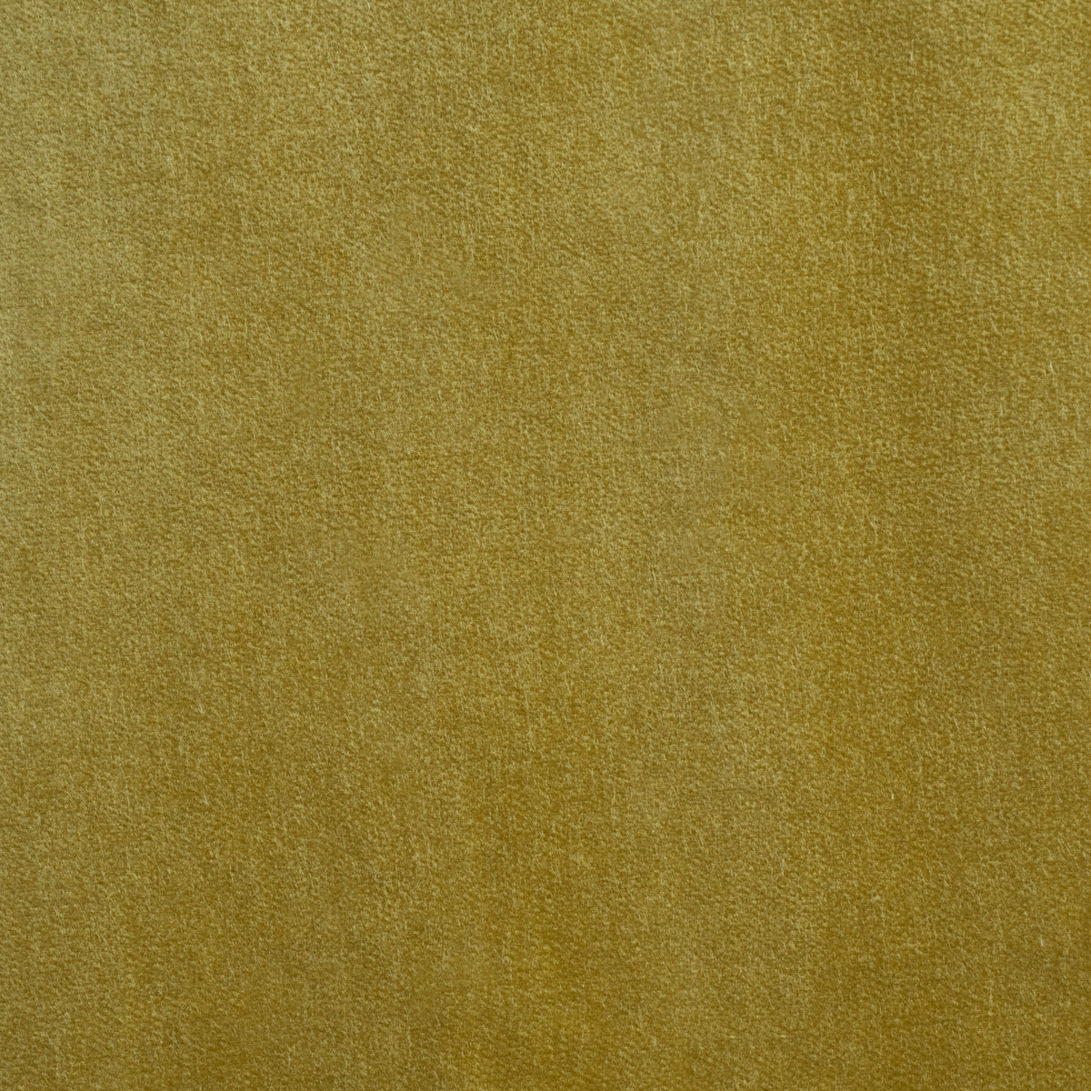Rocky Performance Velvet fabric in celery color - pattern number 86472 - by Schumacher in the Atelier Paris collection