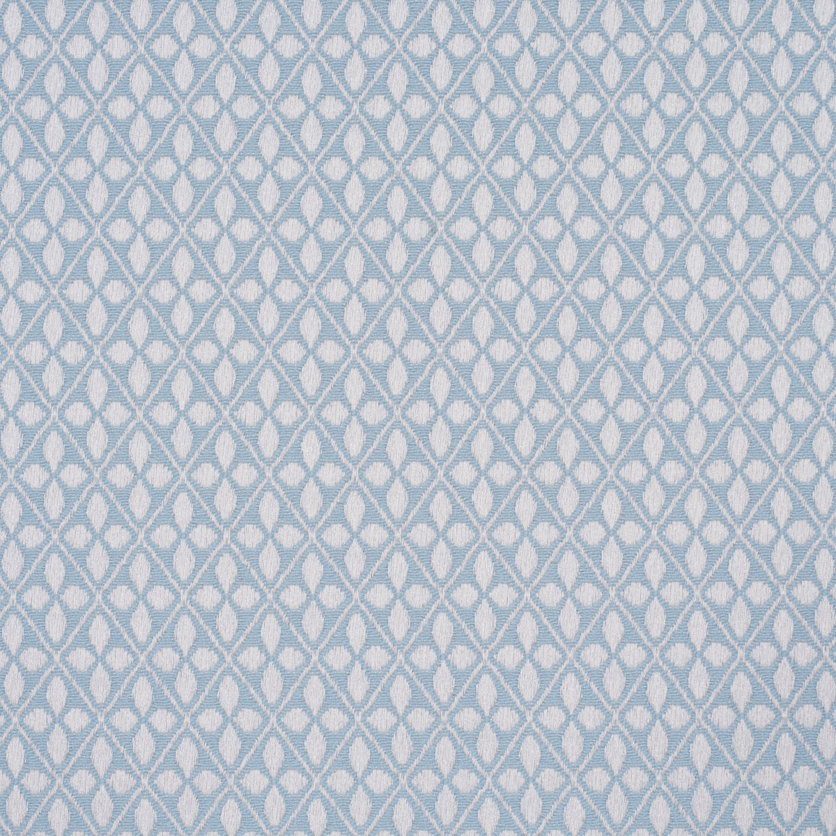 Adams Damask fabric in robin&
