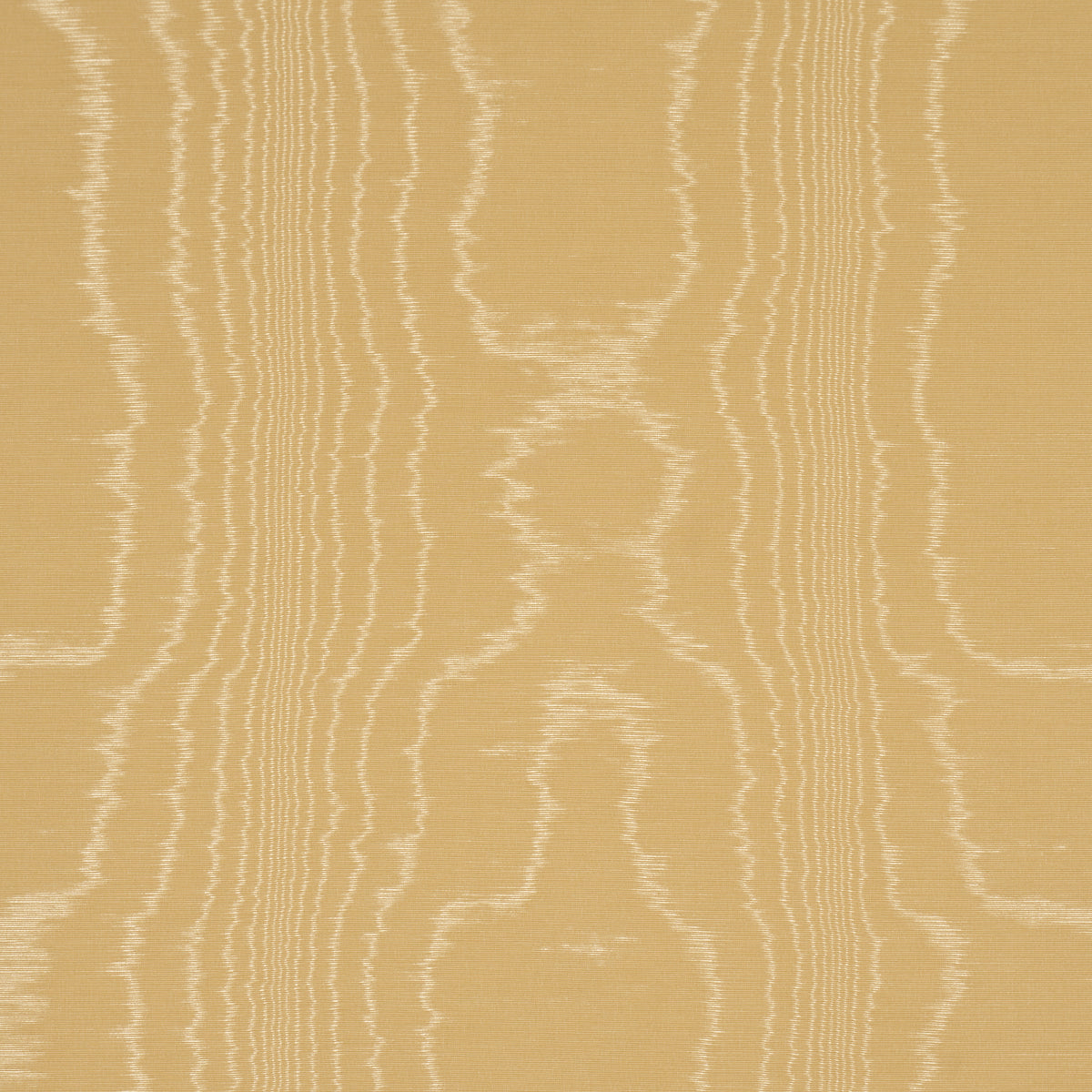 Washington Moiré fabric in yellow color - pattern number 87107 - by Schumacher in the Mark D. Sikes collection