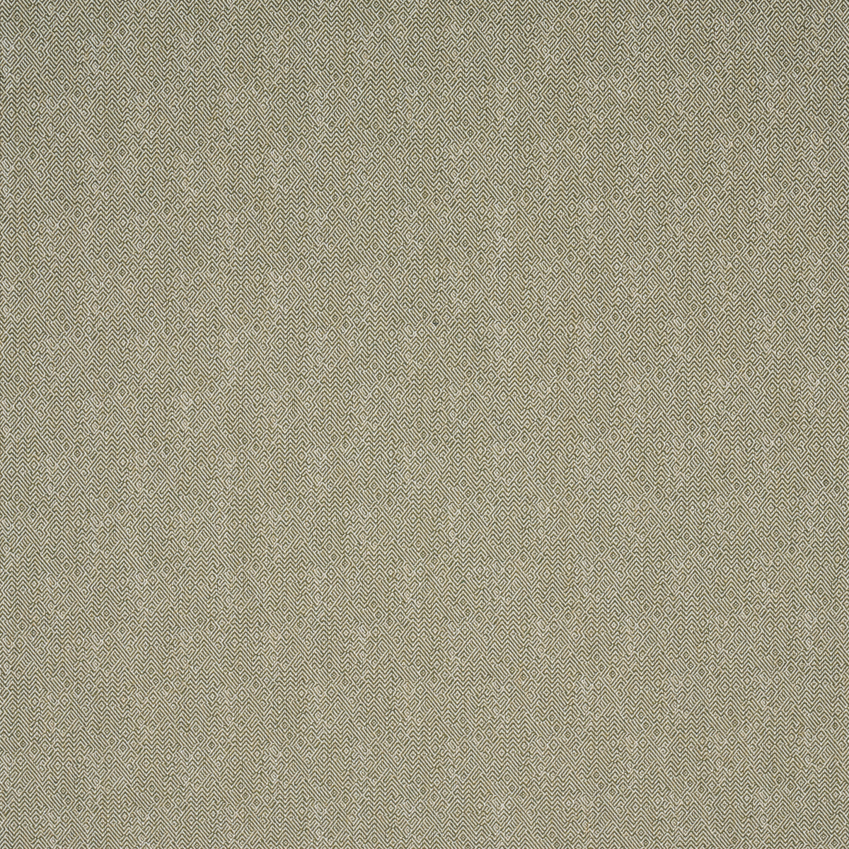 Leona Performance fabric in green color - pattern number 87631 - by Schumacher in the Schumacher Utility: Wovens collection