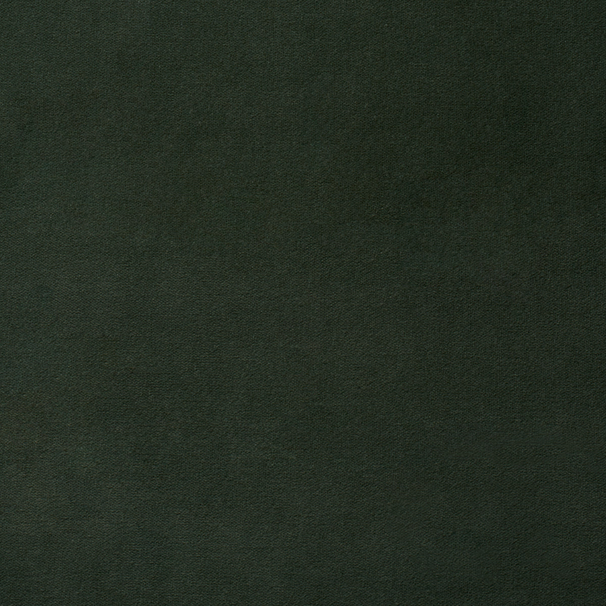 Rocky Performance Velvet fabric in hunter color - pattern number 87714 - by Schumacher in the Perfect Basics: Velvet collection