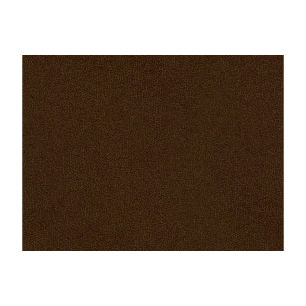 Abilene fabric in cocoa color - pattern ABILENE.6.0 - by Kravet Contract