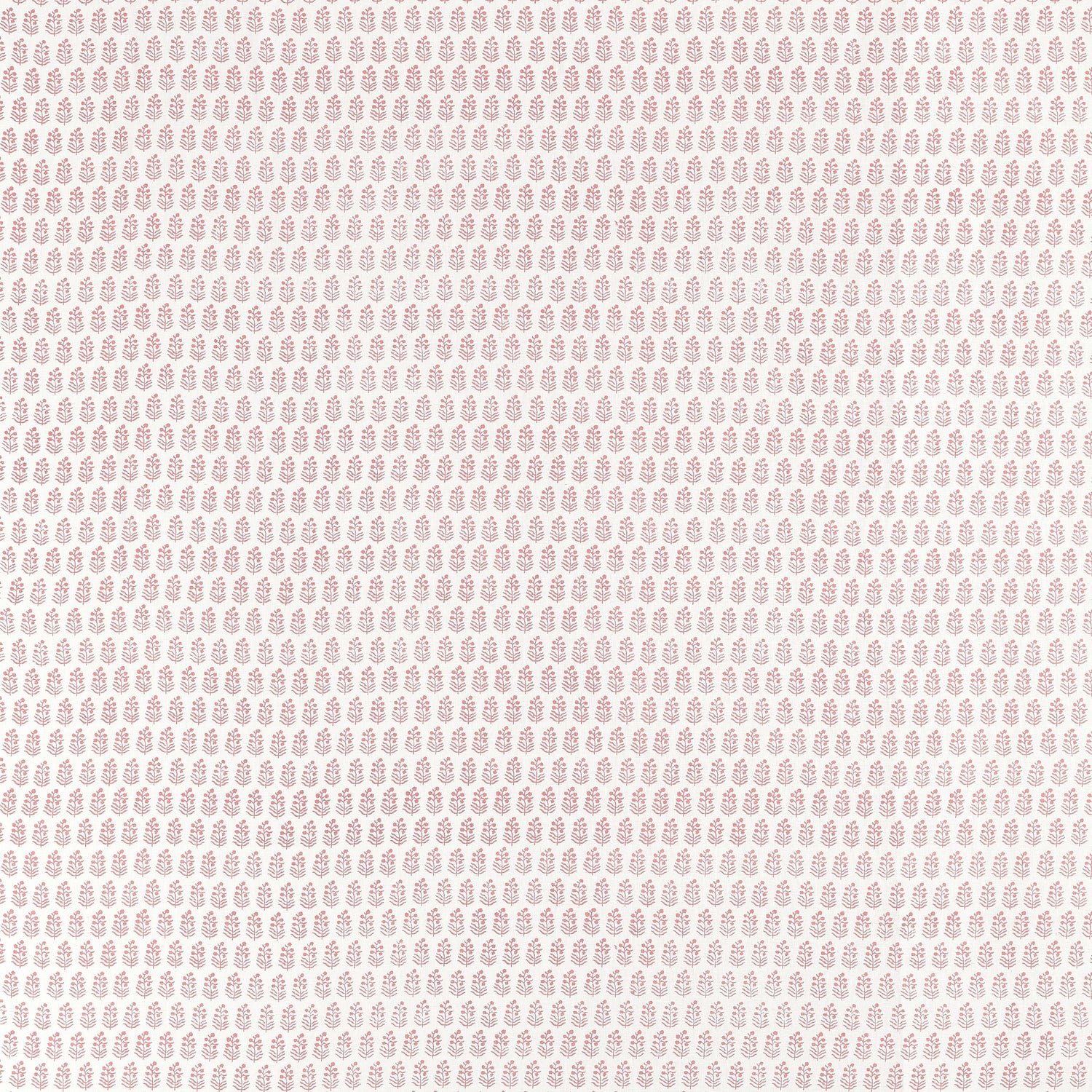 Chloe fabric in blush color - pattern number AF10746 - by Anna French in the Clermont collection