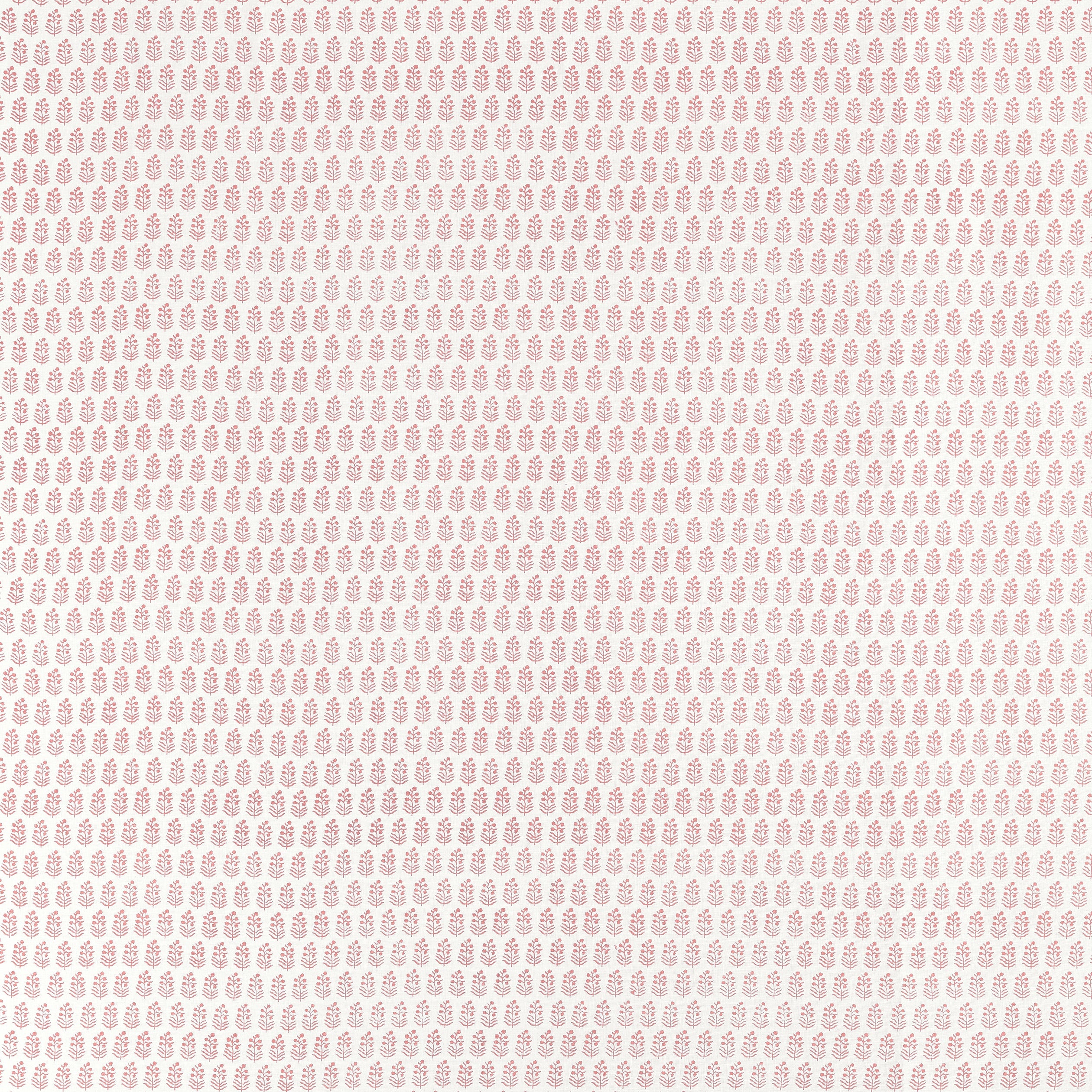 Chloe fabric in blush color - pattern number AF10746 - by Anna French in the Clermont collection